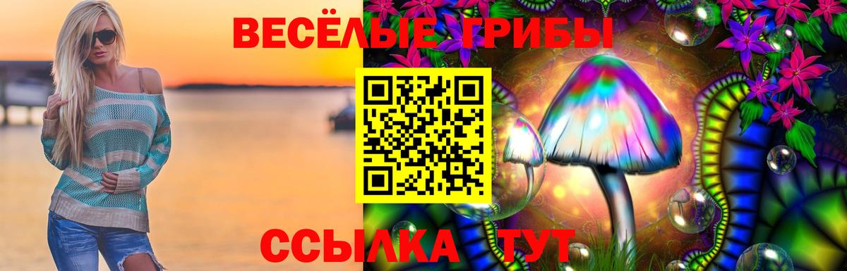 Гусиноозёрск  Галлюциногенные грибы мицелий  купить наркотик  Вход с VPN 